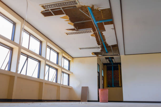 Best Water damage restoration near me  in Hornell, NY