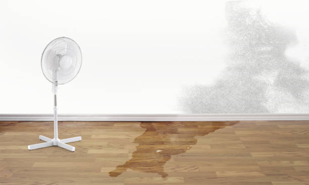 Best Commercial water damage restoration  in Hornell, NY