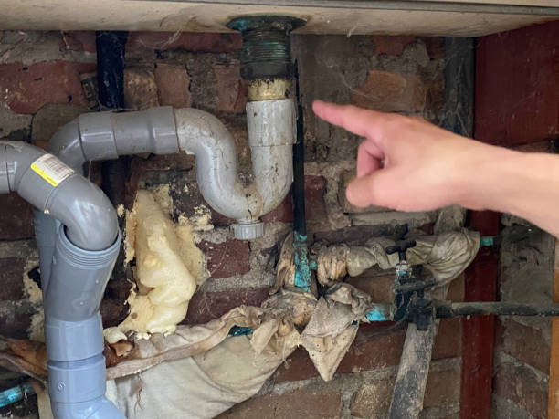 Best Fire Damage Restoration  in Hornell, NY