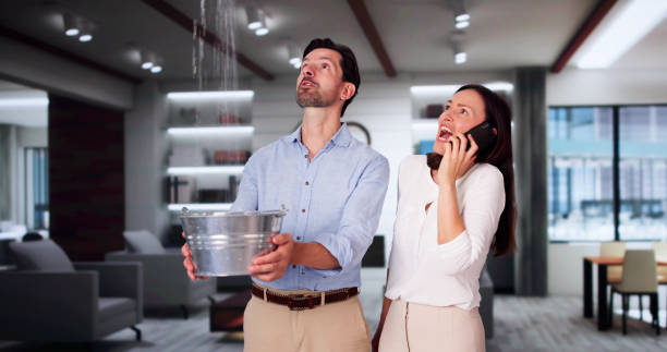Best Mold removal after water damage  in Hornell, NY